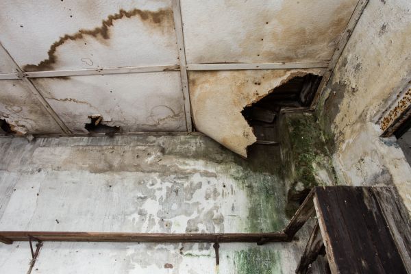 Cost of Water Damage Service in Mooresville
