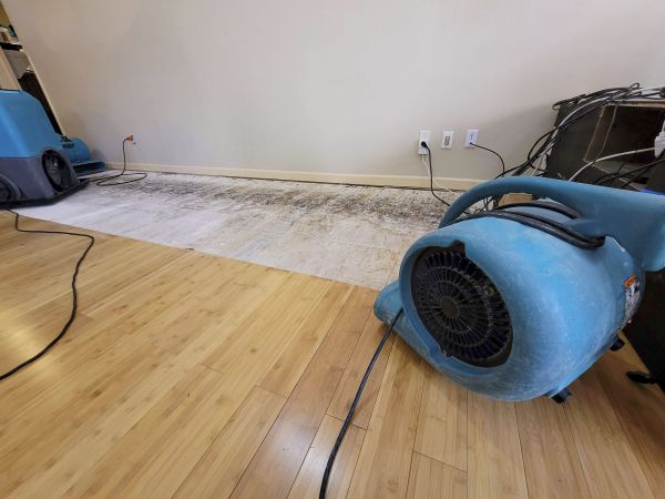 Cost of Water Damage Mitigation in Mooresville