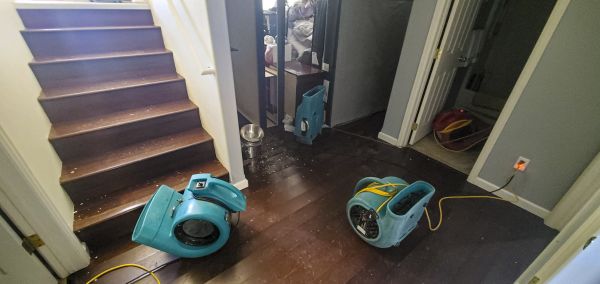 Cost of Water Damage Remediation in Mooresville