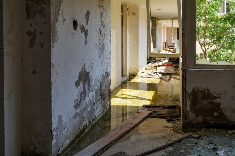 Flooded Interior Cleanup